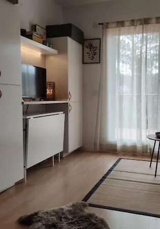 Estudio/loft Con Preciosas Vistas דירה